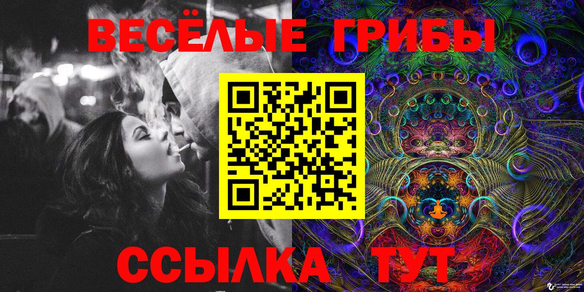 Псилоцибиновые грибы Psilocybe Дербент