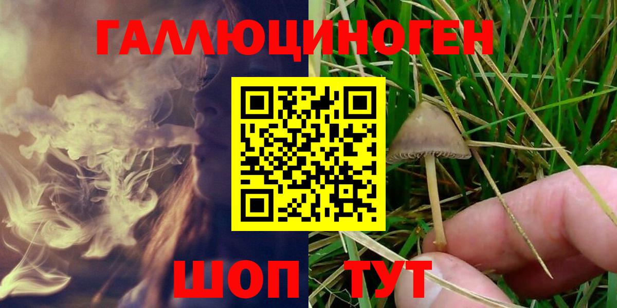 Галлюциногенные грибы Psilocybine cubensis  Вход с VPN  сколько стоит  Дербент  Псилоцибиновые грибы ЛСД 